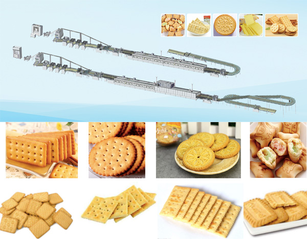How to choose the right biscuit machine.jpg How to choose the right biscuit machine.jpg